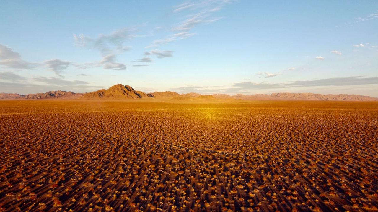 Tarantula Ranch Campground & Vineyard Near Death Valley National Park Amargosa Valley Exterior photo