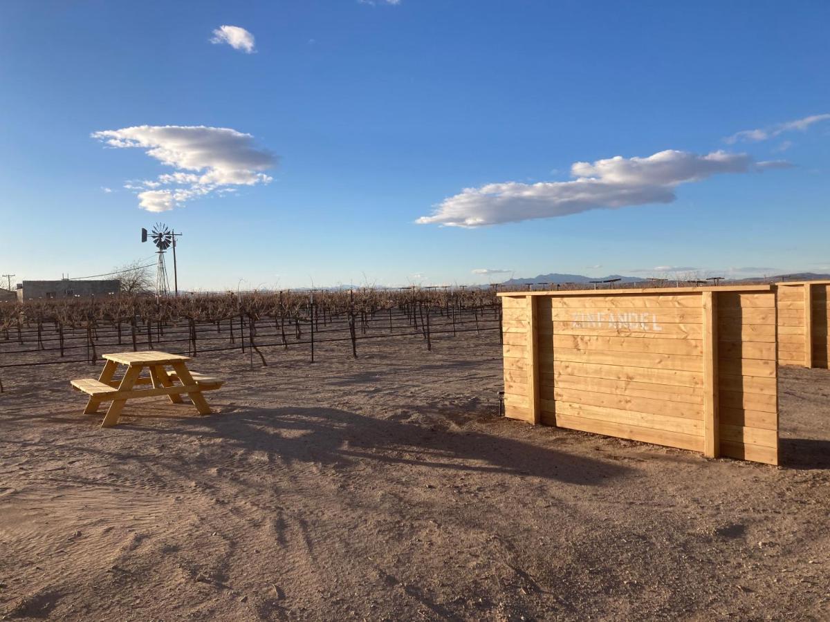 Tarantula Ranch Campground & Vineyard Near Death Valley National Park Amargosa Valley Exterior photo