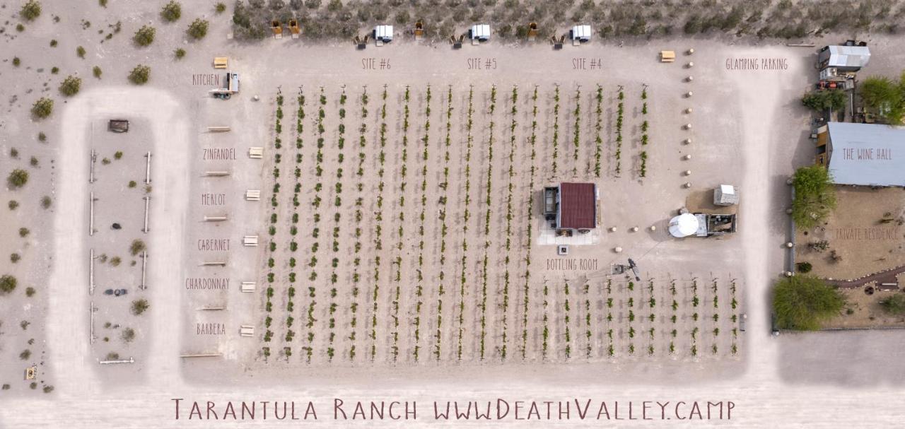 Tarantula Ranch Campground & Vineyard Near Death Valley National Park Amargosa Valley Exterior photo